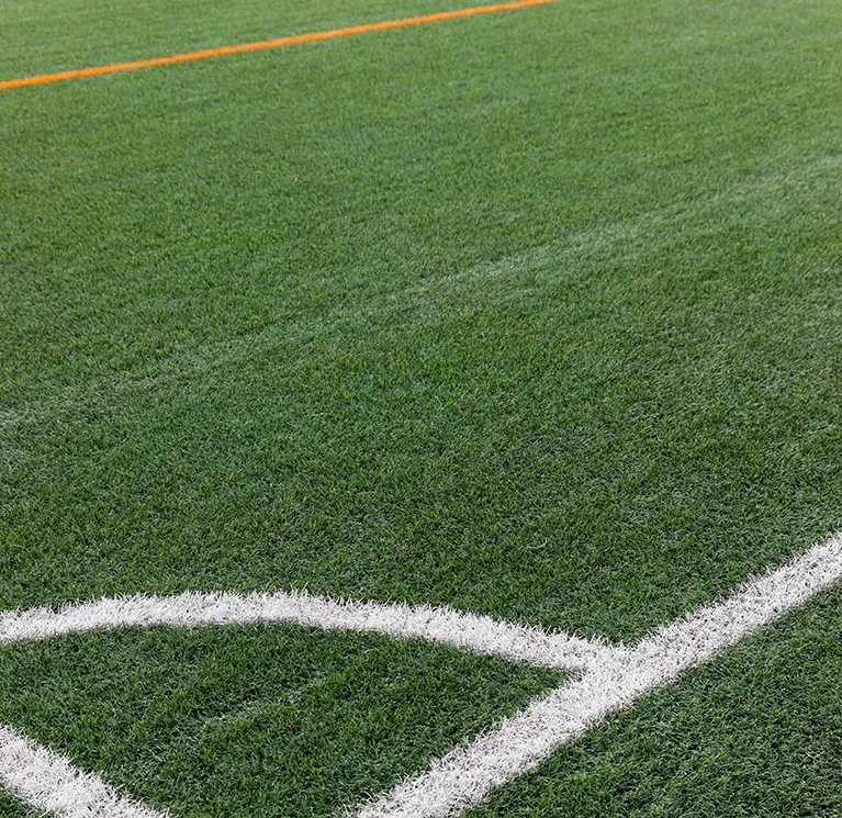 Sports pitches and MUGAs image